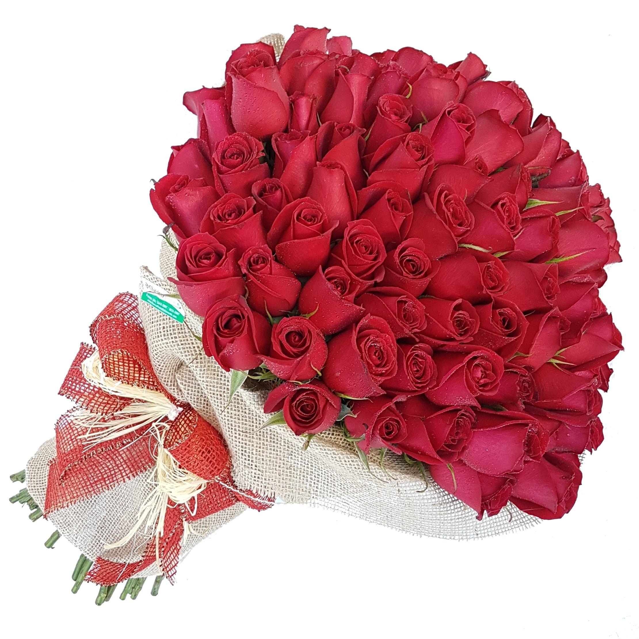 Buquê belíssimo 100 Rosas Buquê Avassalador