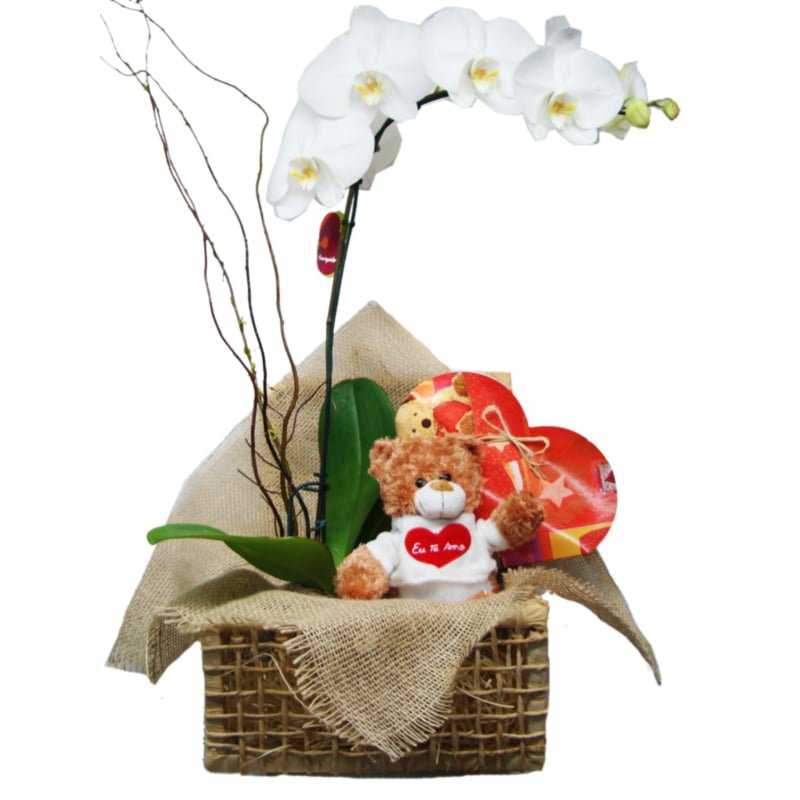 Cesta Orquidea Phalianopsis, pelúcia e bombons Cesta de Orquídea Phalaenopsis com Presente