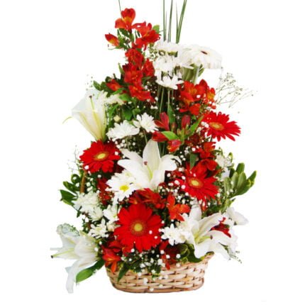 Encanto da Primavera