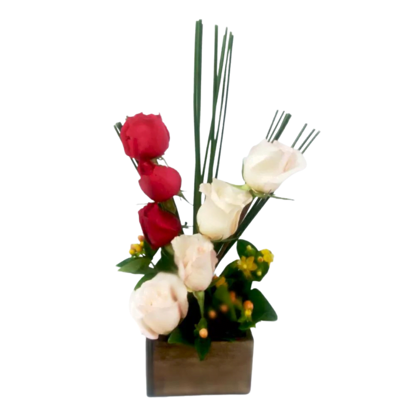 Duplo de Rosas Duplo de Rosas