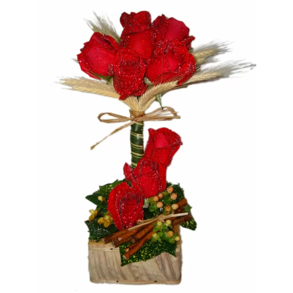 Tupiara de Rosas Brisa de Rosas