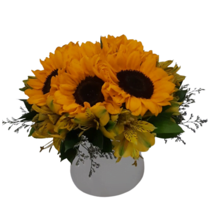 Girassóis no Cachepot Luz do Sol