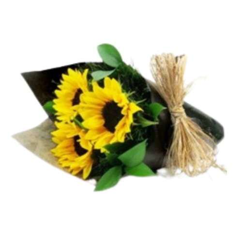 500x500 (2) Trio de Girassóis