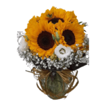 Energia do Arpoador na Jarra