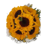 Energia do Arpoador na Jarra - Imagem 2