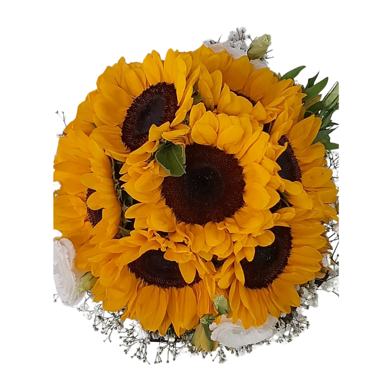 Design sem nome (8) Energia do Arpoador na Jarra - Imagem 2