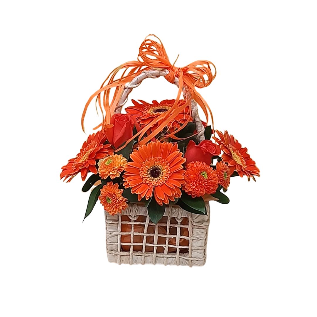 Imagem do WhatsApp de 2024-05-23 à(s) 13.44.19_dbe23048 Cesta Dueto de Energia