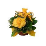 Cestinha Raio de Sol