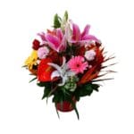 Arranjo Misto Perfumado