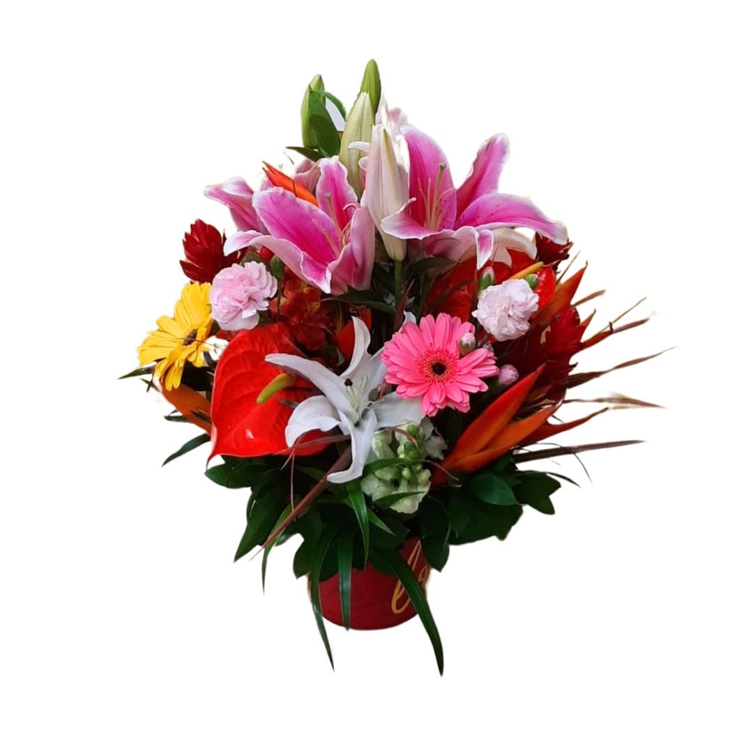 Imagem do WhatsApp de 2024-08-02 à(s) 11.56.47_9b52a374 Arranjo Misto Perfumado