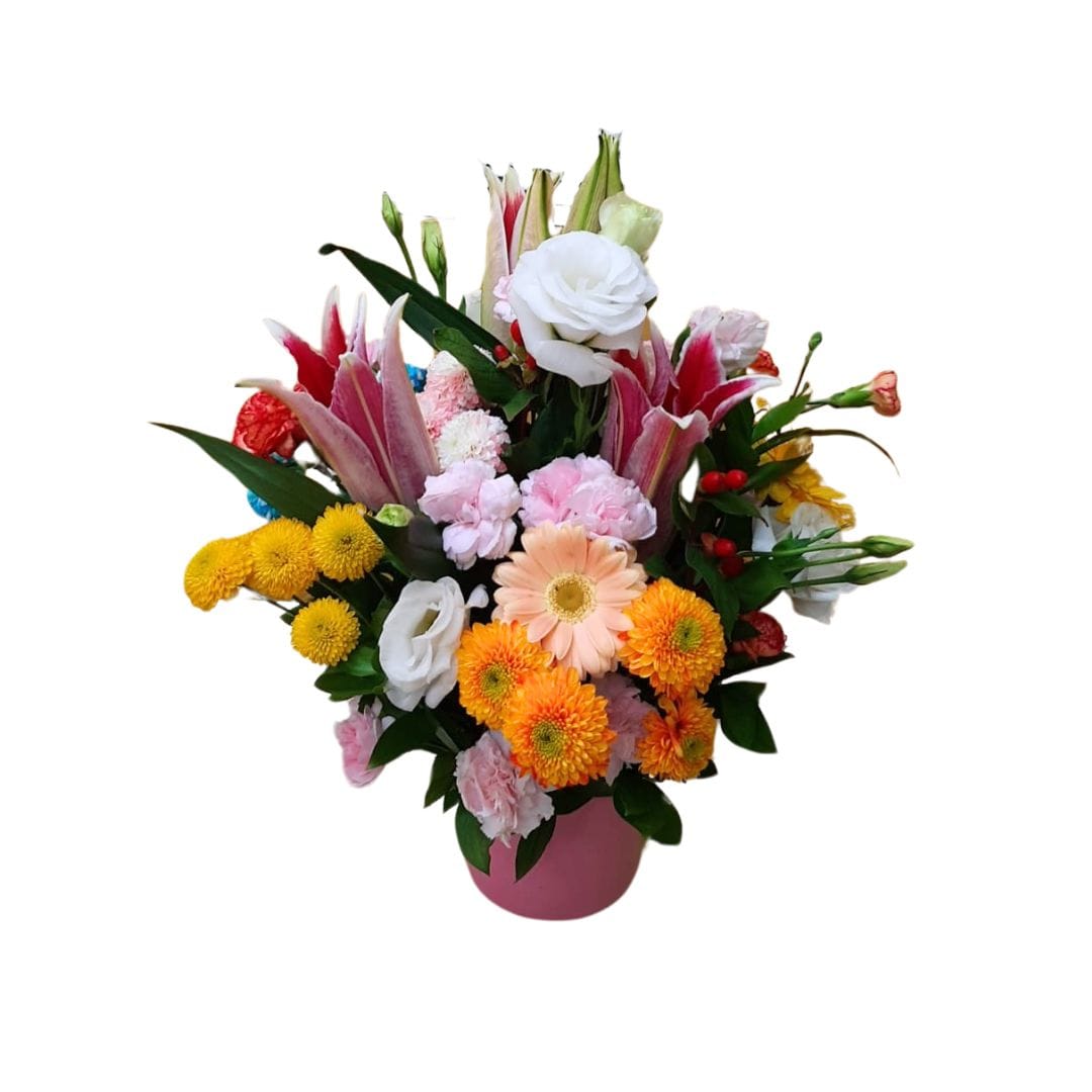 Imagem do WhatsApp de 2024-08-12 à(s) 12.42.26_68ffb8b6 Arranjo Beleza Colorida